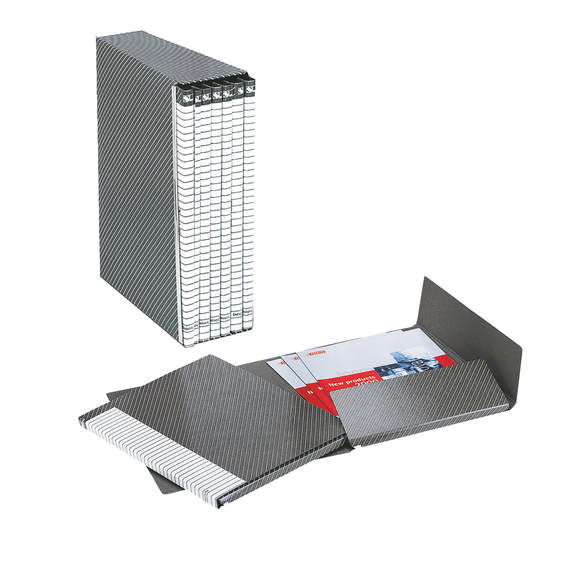 Gruppo Delso Line - 25 x 32 cm - 6 cartelle 2 lembi - con custodia - dorso 1,5 cm - grigio - Esselte