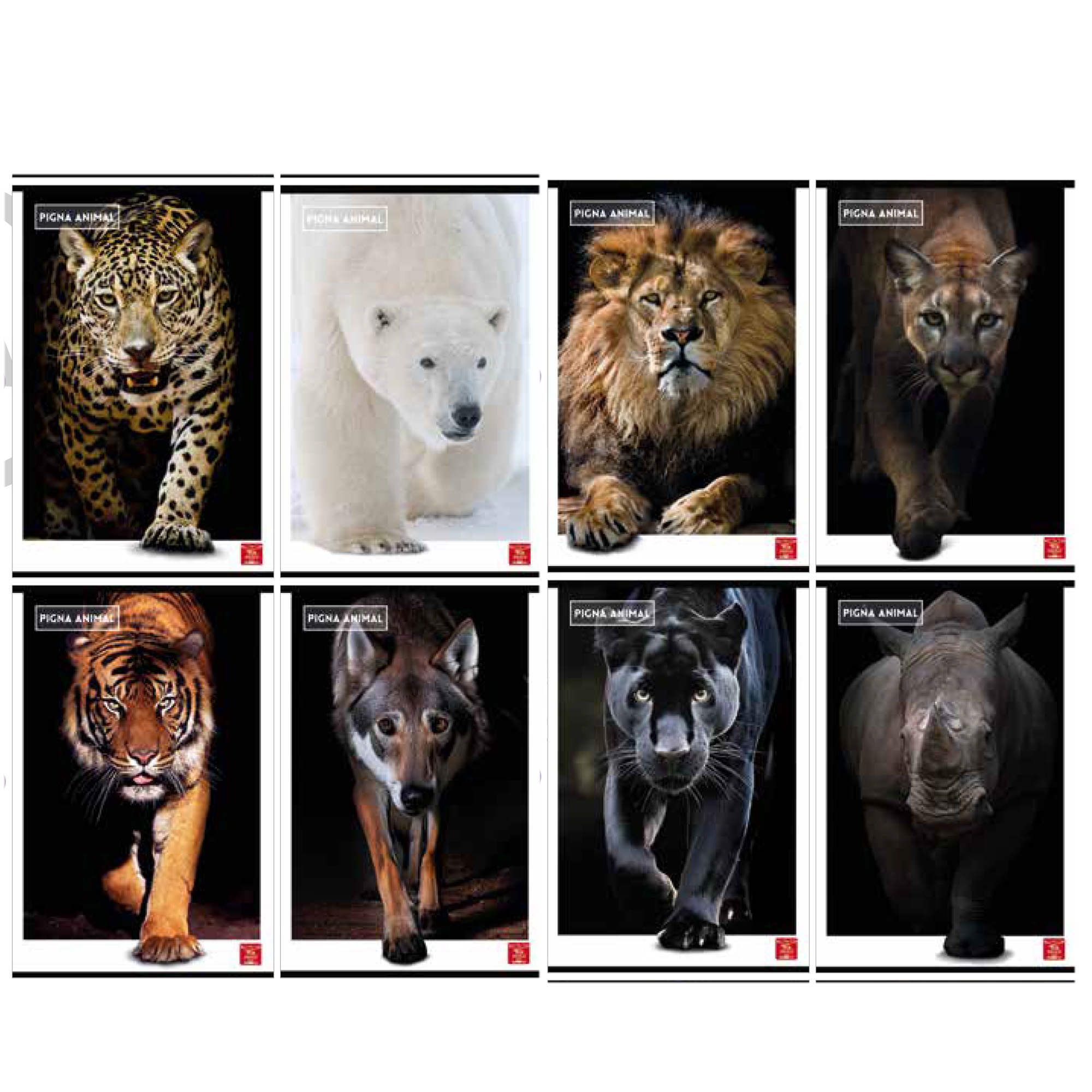 Maxiquaderno Animal - A4 - 4 mm c/margine - 42 fogli - 80 gr - Pigna