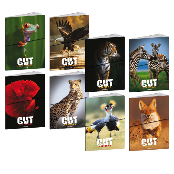 Maxiquaderno Animal Cut - A4 - 5mm - 21 fogli - 80 gr - Blasetti